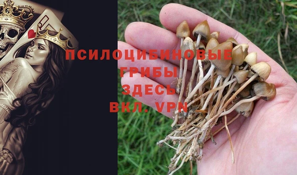таблы Аркадак