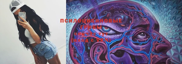 мяу мяу мука Армянск