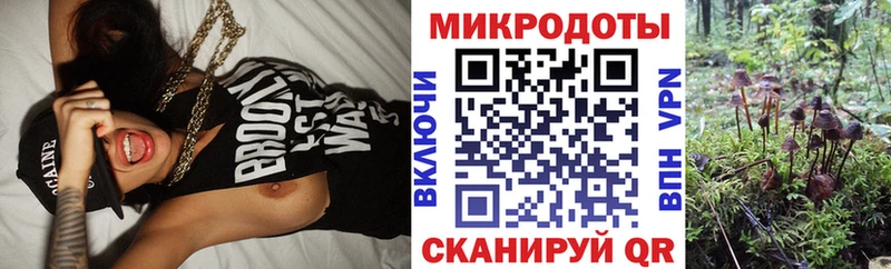 Галлюциногенные грибы Magic Shrooms  Калининск 